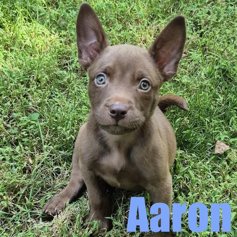 Aaron thumbnail 4