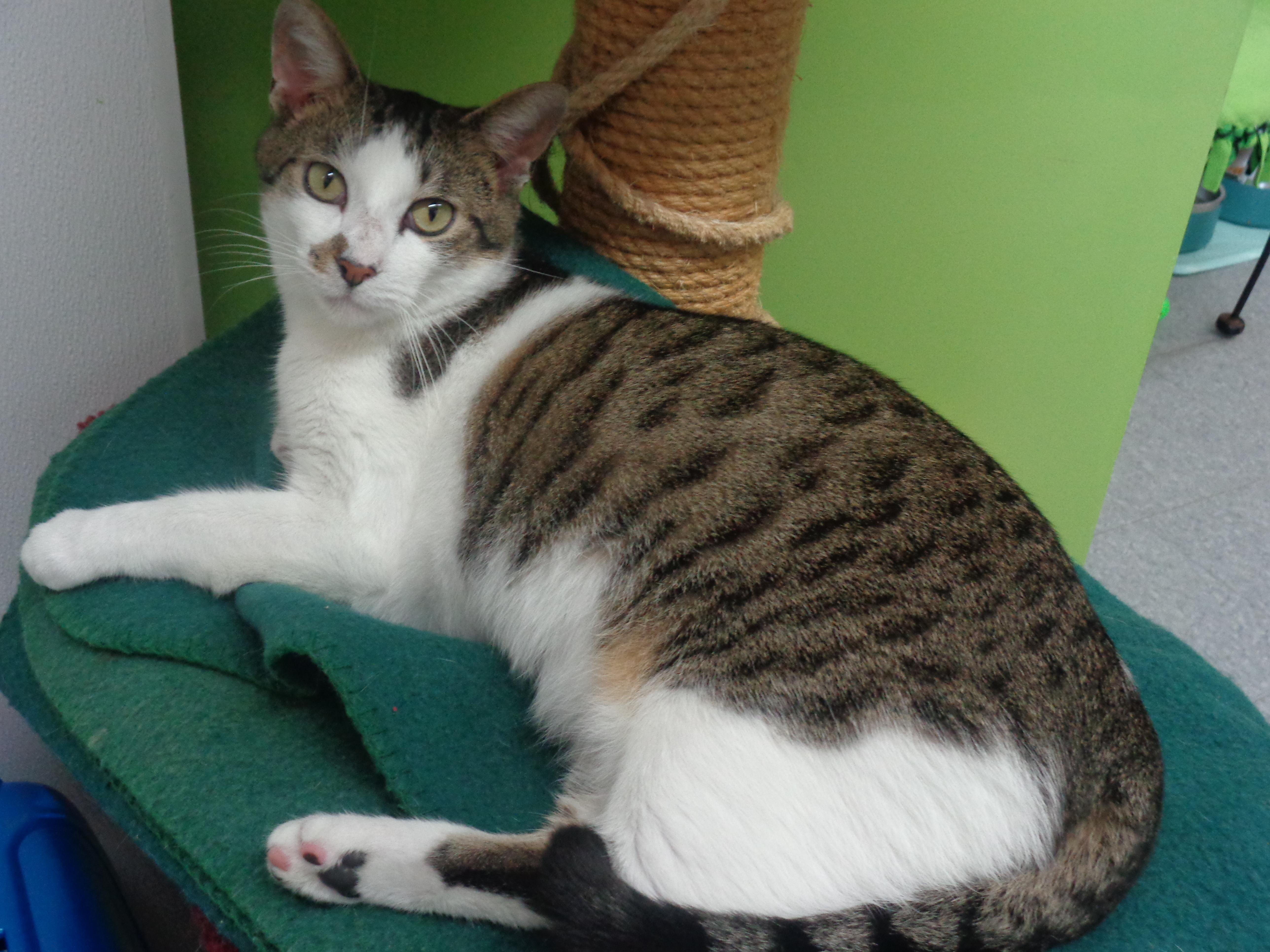 New Mexico thumbnail 2