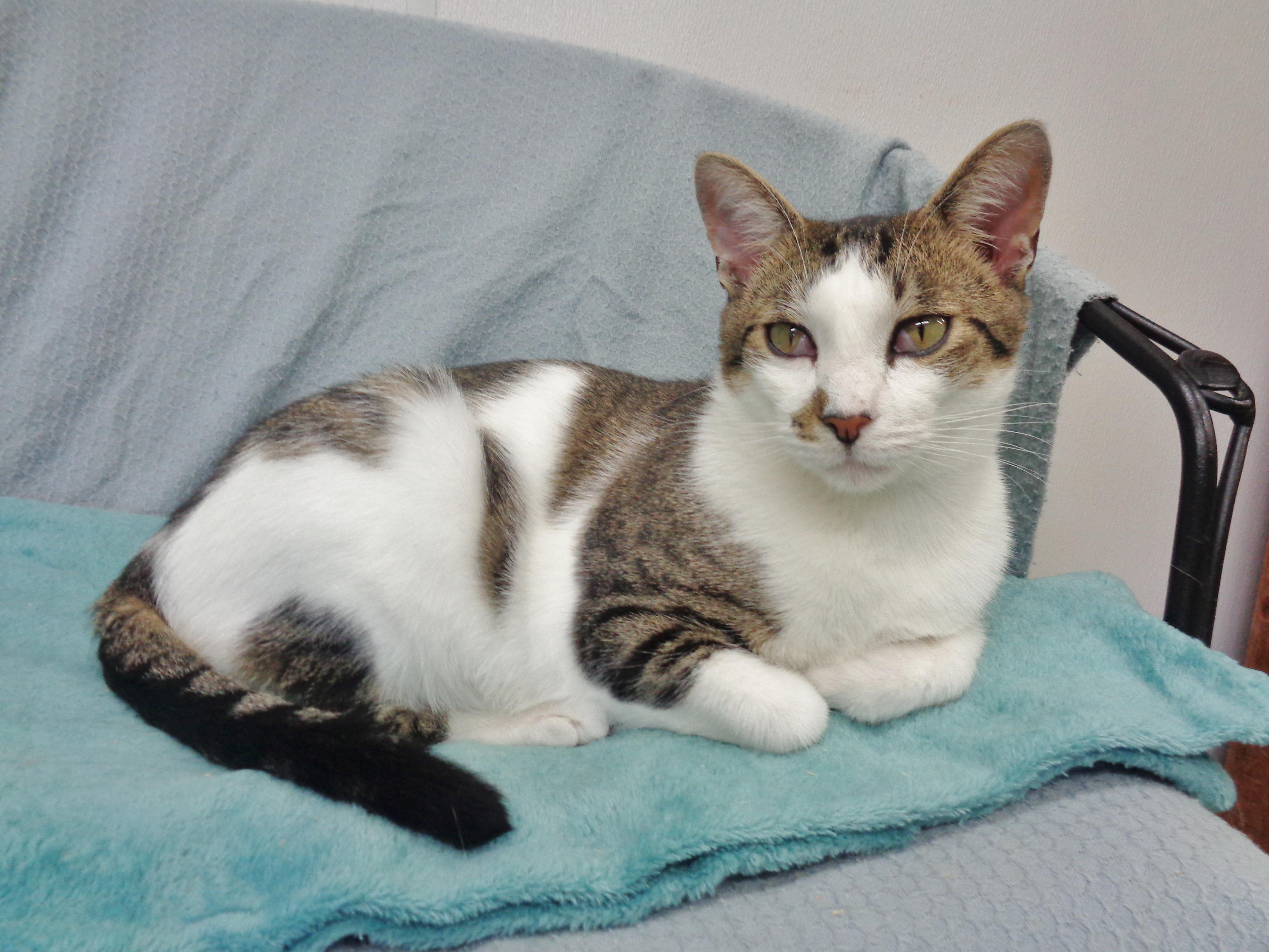 New Mexico thumbnail 3