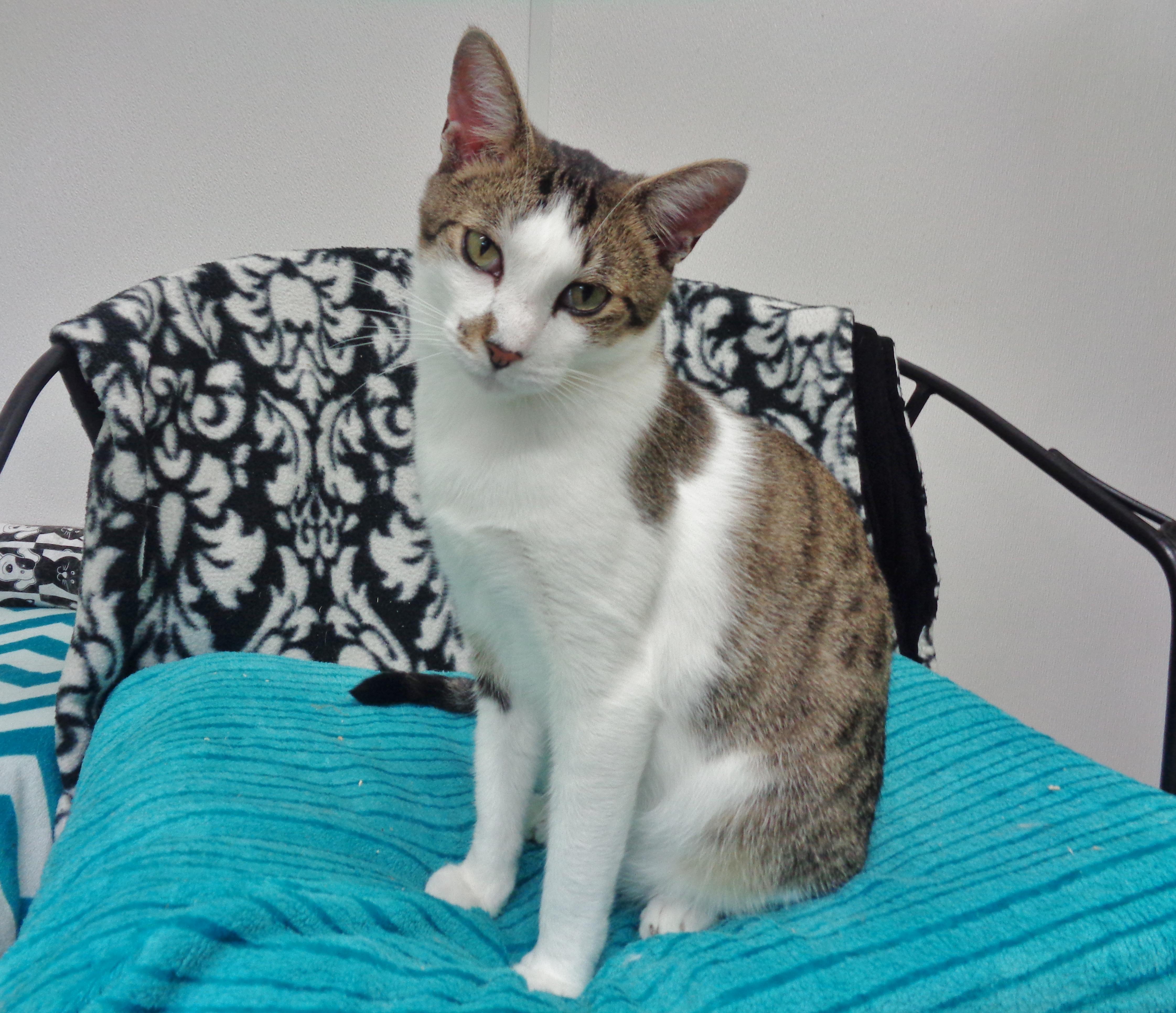 New Mexico thumbnail 4