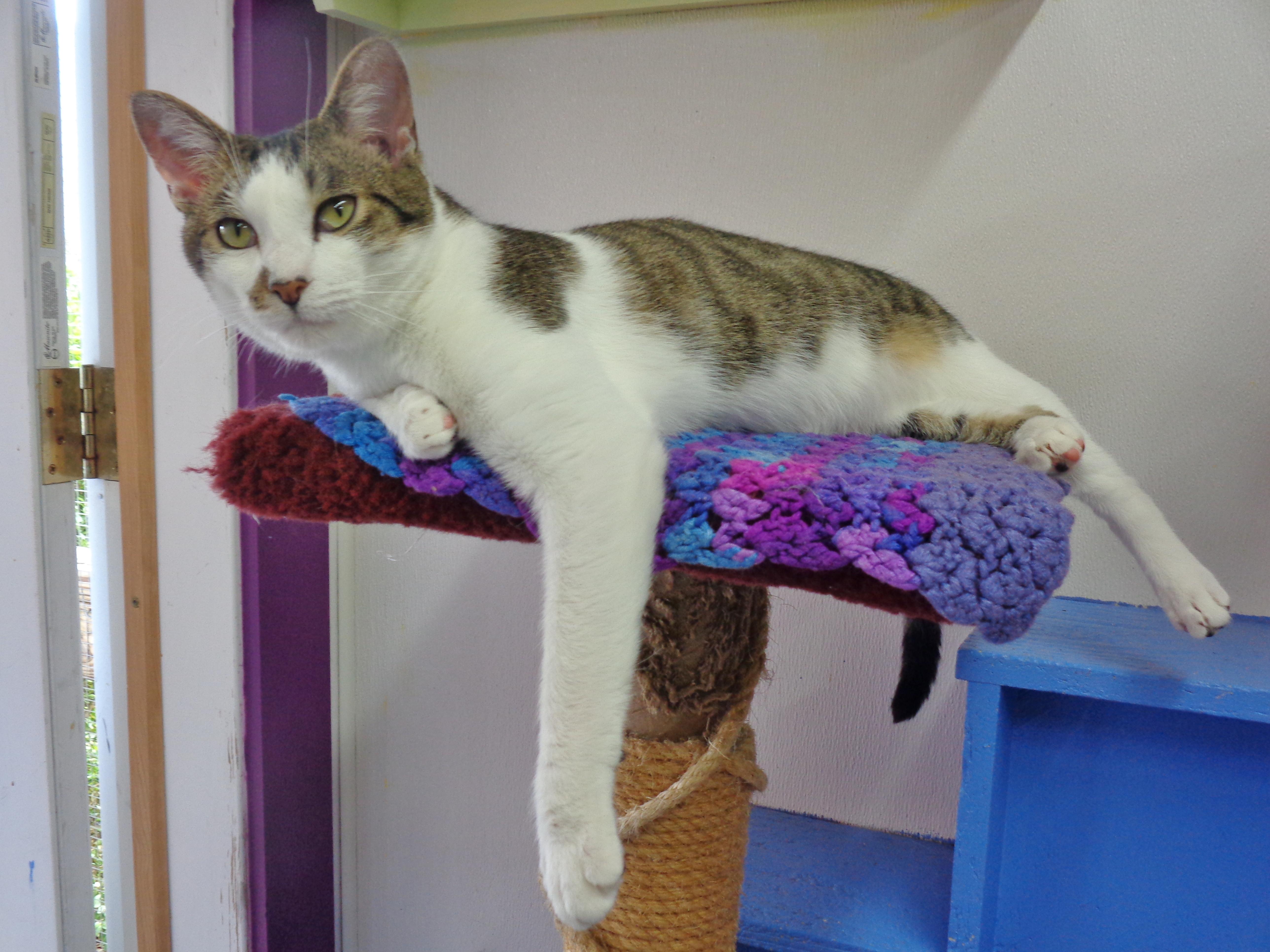 New Mexico thumbnail 5