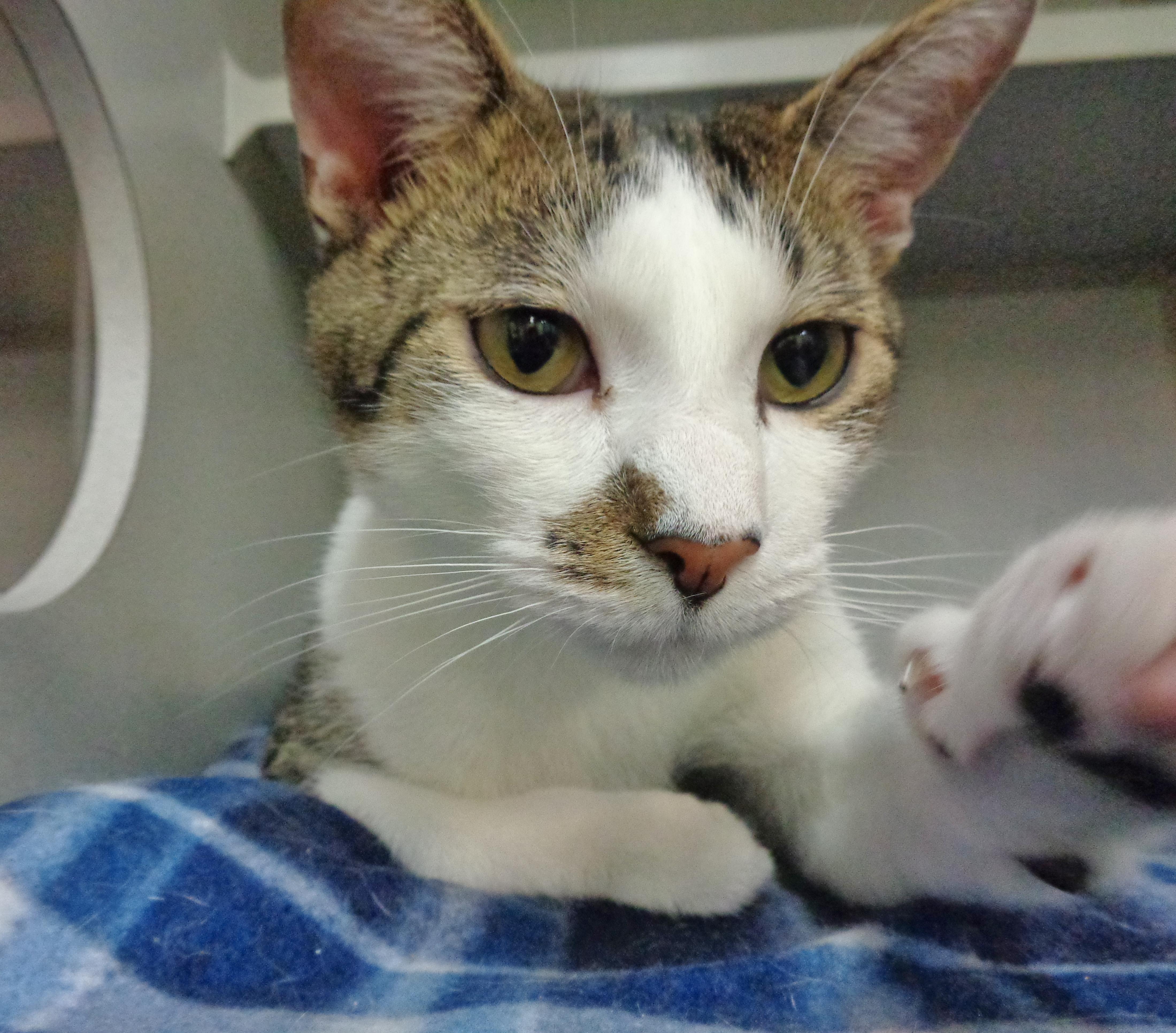 New Mexico thumbnail 6