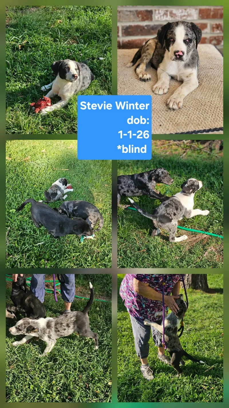 Stevie Winter thumbnail 2