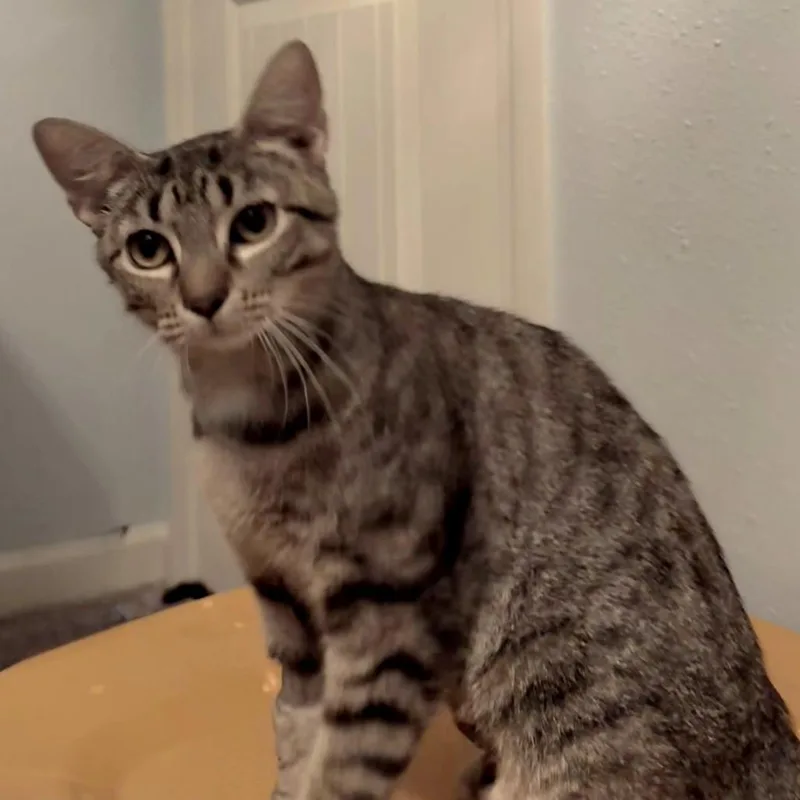 Snuggles thumbnail 3
