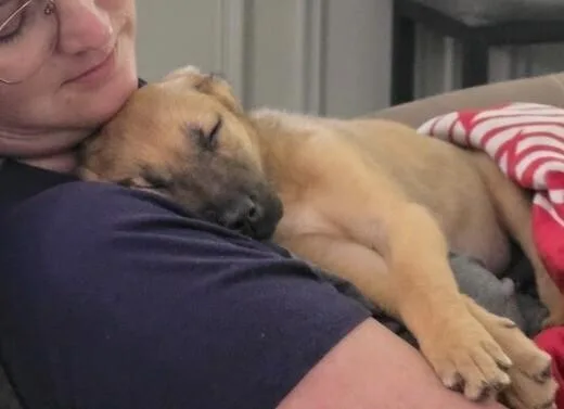 Baby Muffin thumbnail 6