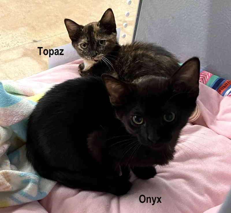 Onyx
