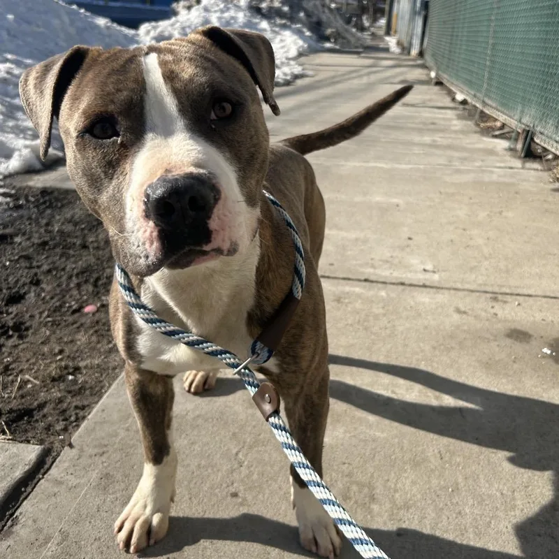 Harry Styles thumbnail 4