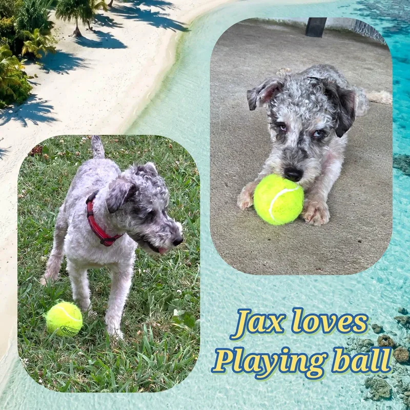 Jax