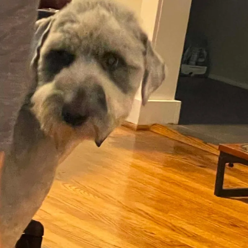 Doug thumbnail 2