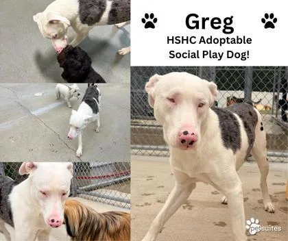 Greg thumbnail 3