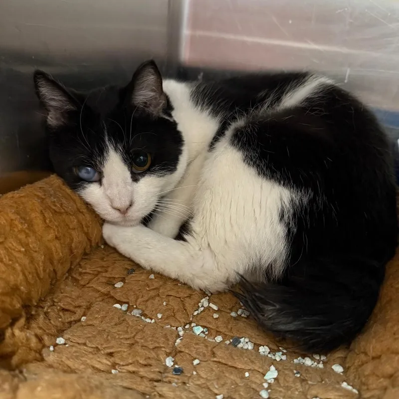 Cleveland thumbnail 2