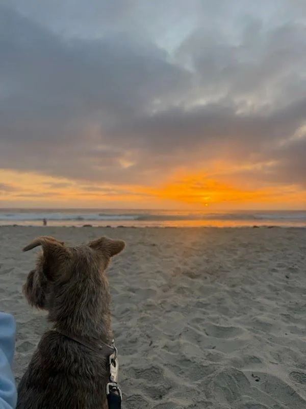 Playa thumbnail 3