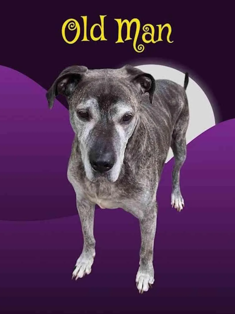 Old Man