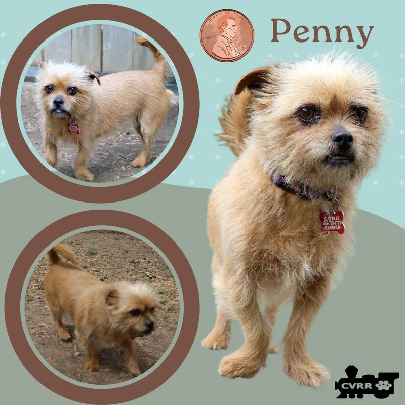 Penny