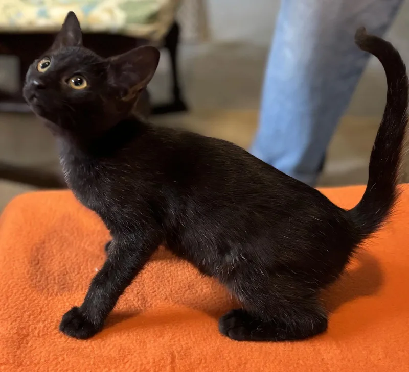 Traffic Jam thumbnail 2