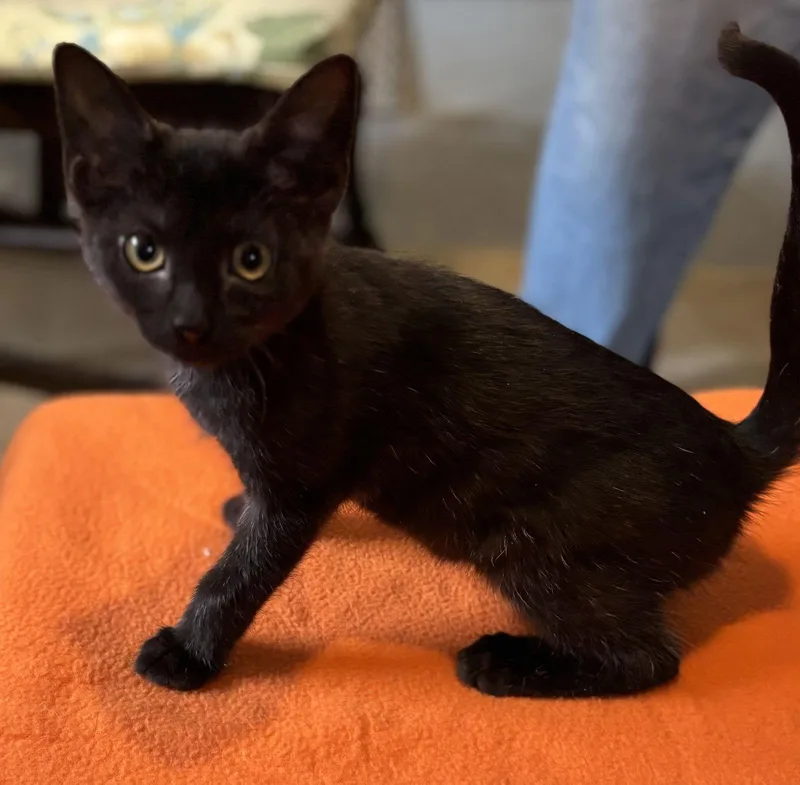 Traffic Jam thumbnail 3