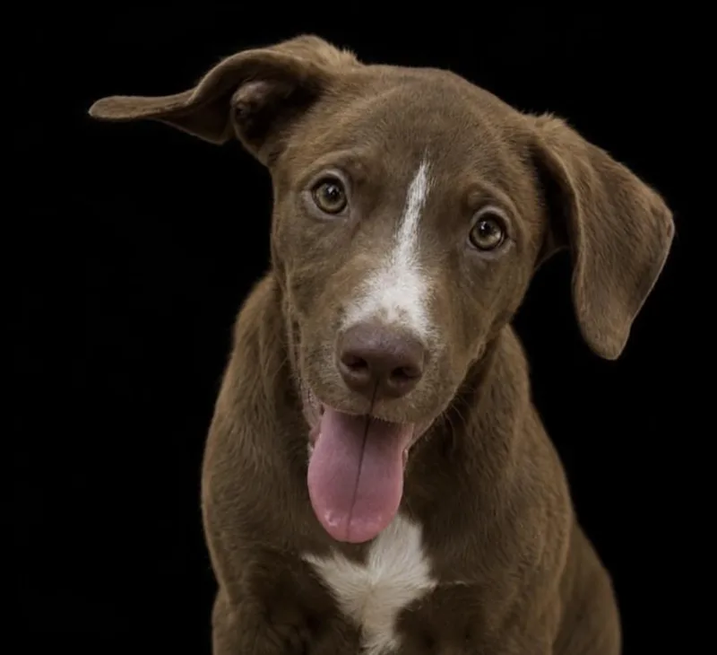 Gemma thumbnail 2