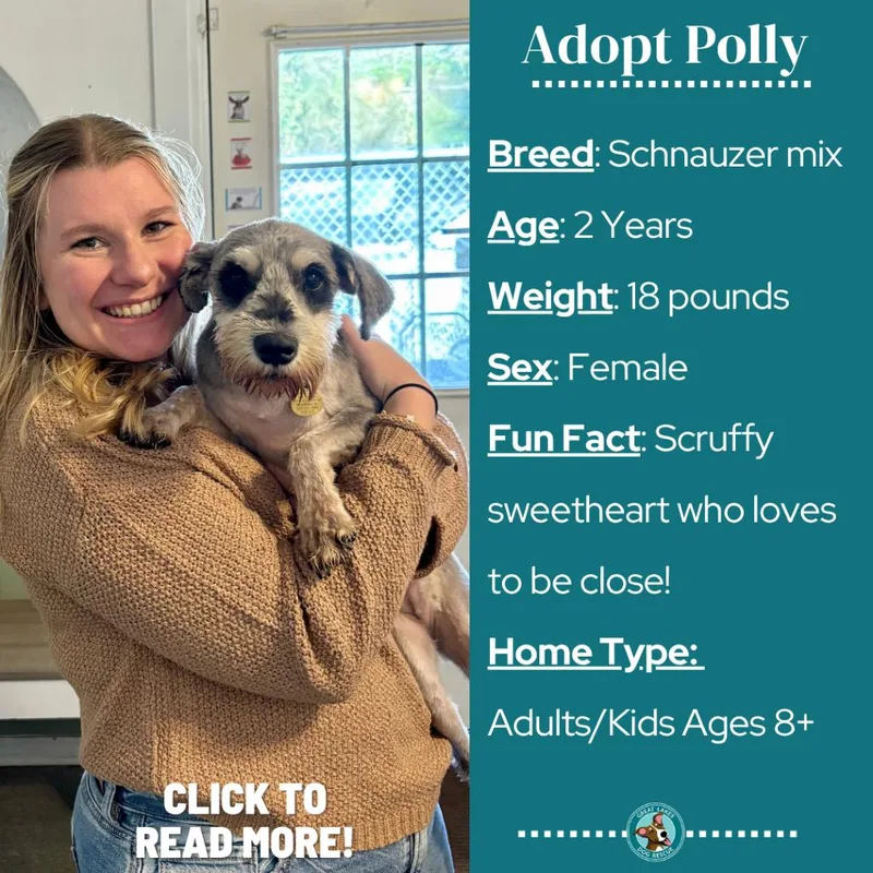 Polly thumbnail 5