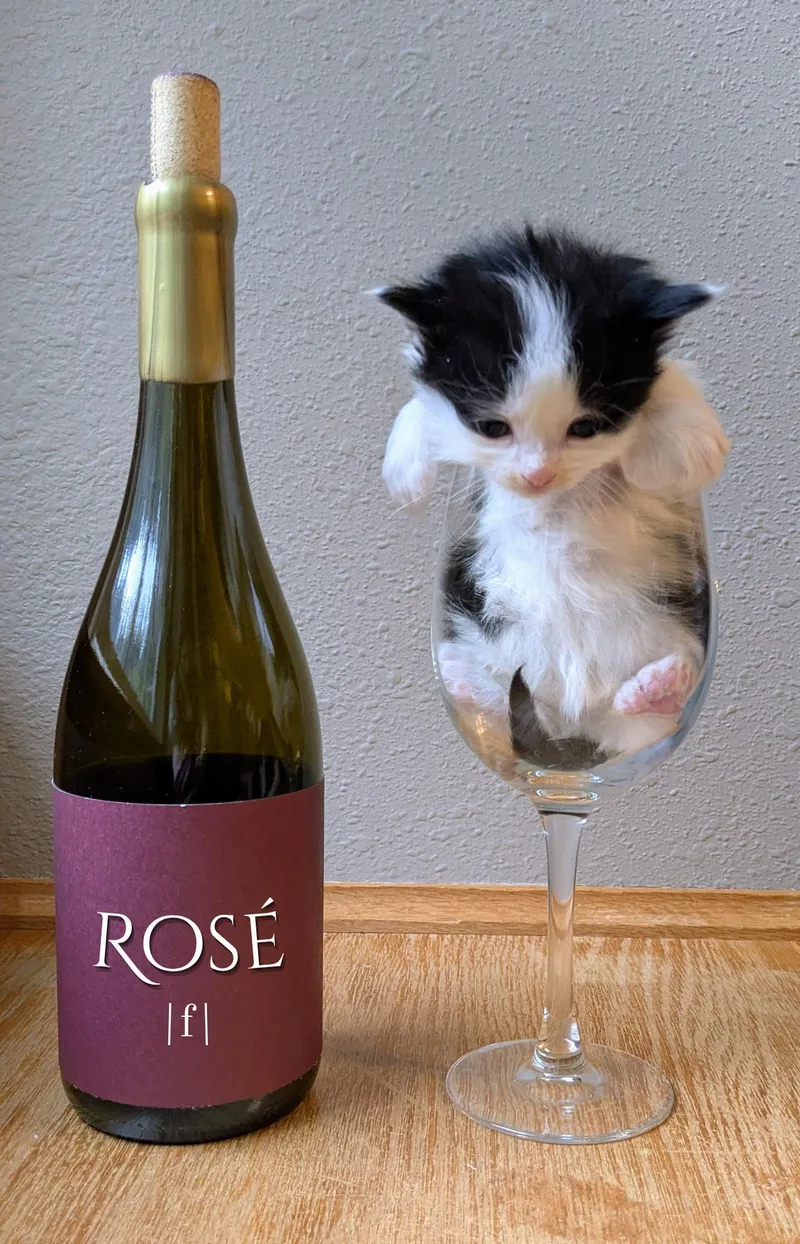 Rose thumbnail 6