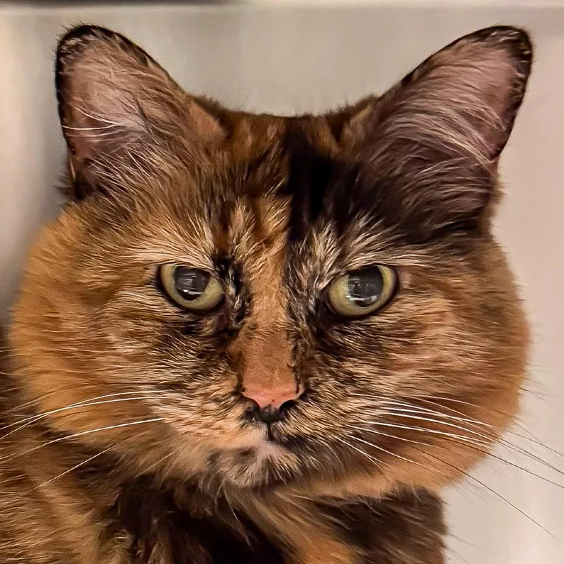 Gabby thumbnail 2