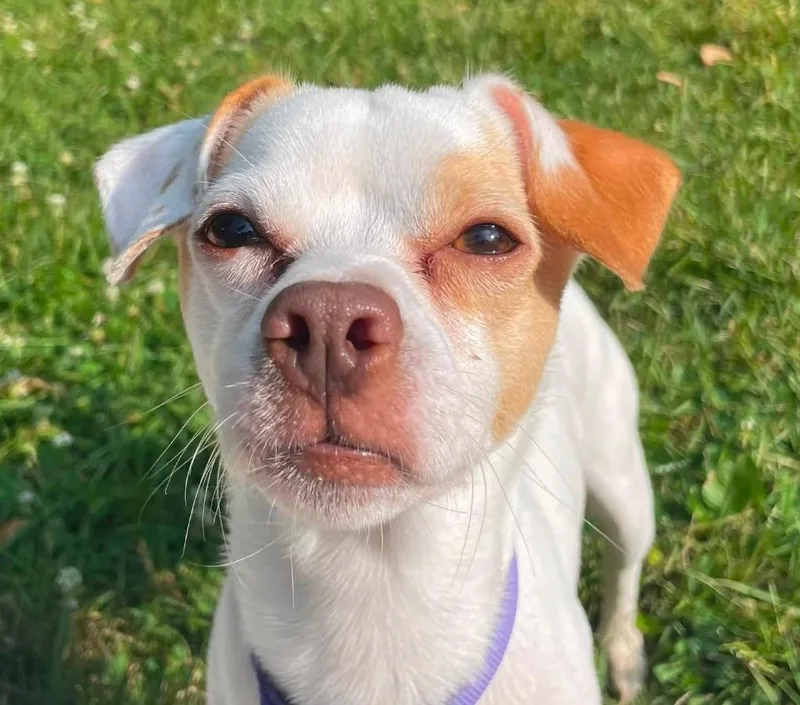 Coco