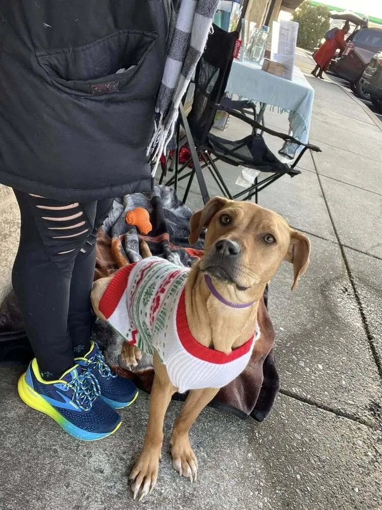 Minnie Mouse thumbnail 2