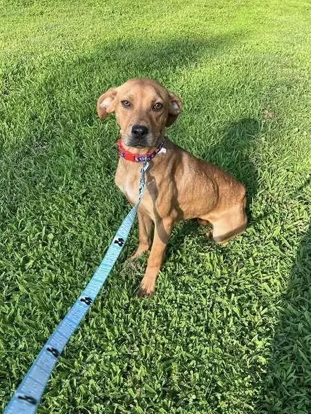 Minnie Mouse thumbnail 4