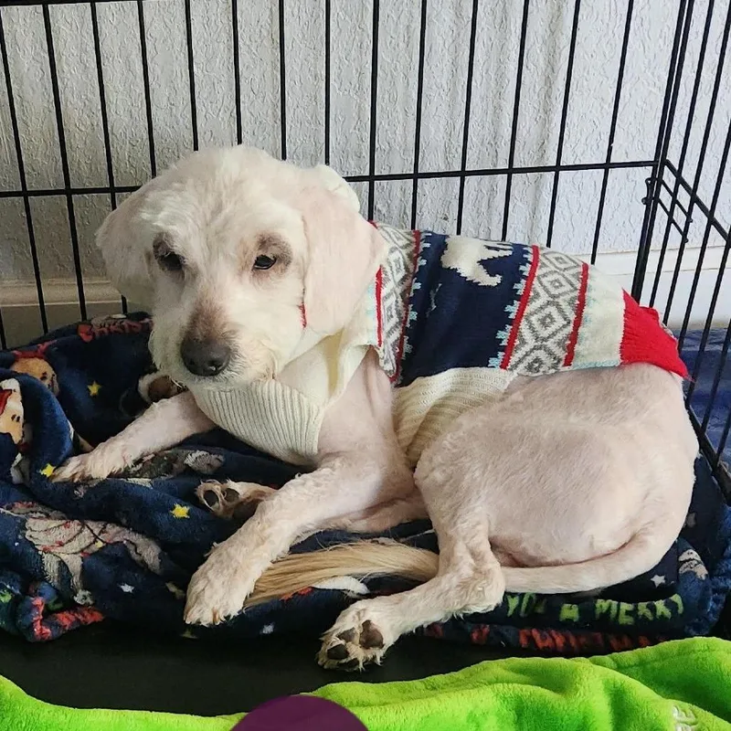 Kirby Ejs thumbnail 2