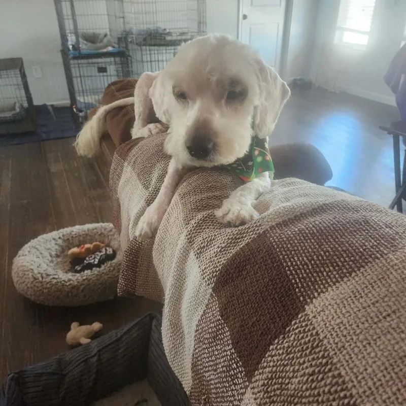 Kirby Ejs thumbnail 3