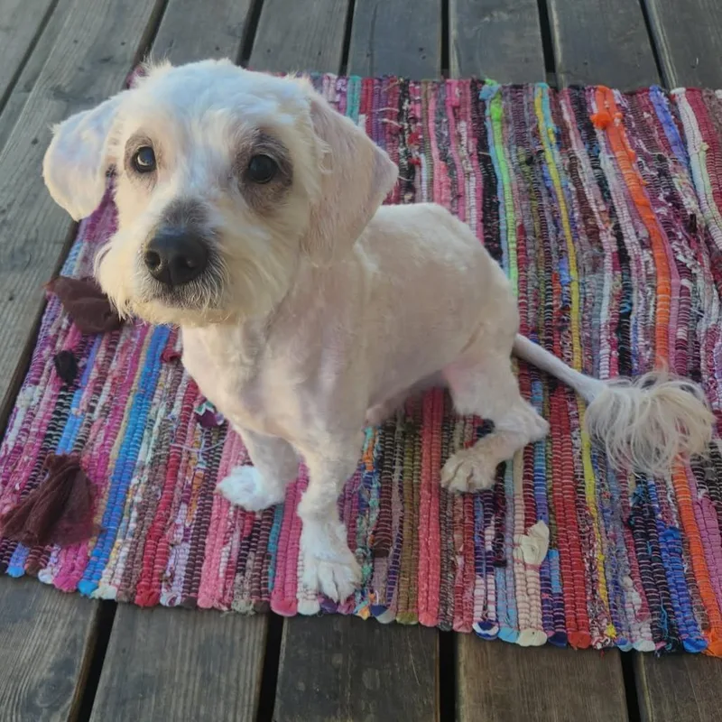 Kirby Ejs thumbnail 4