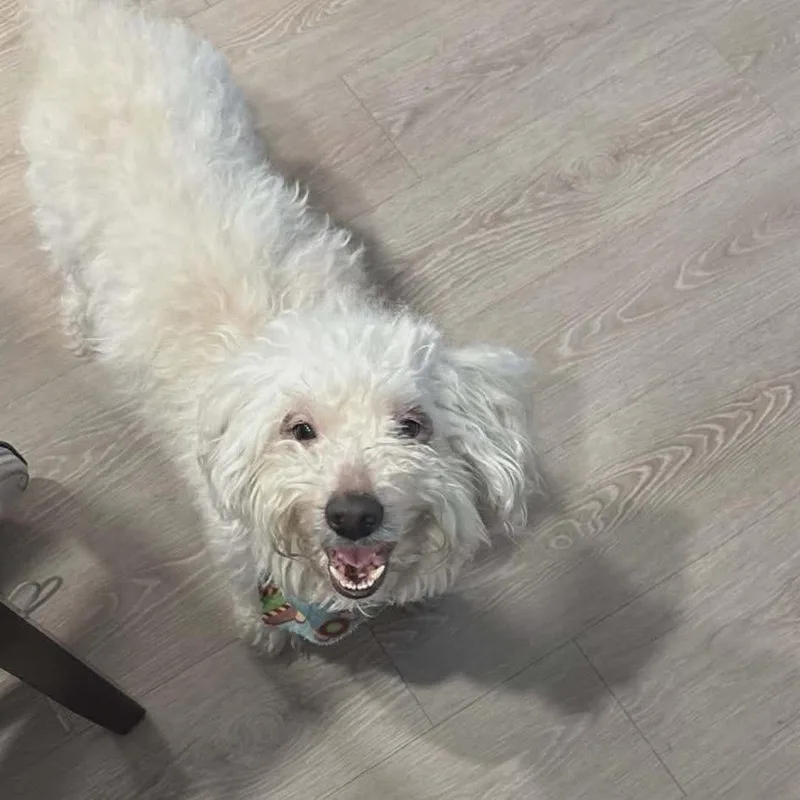 Kirby Ejs thumbnail 5