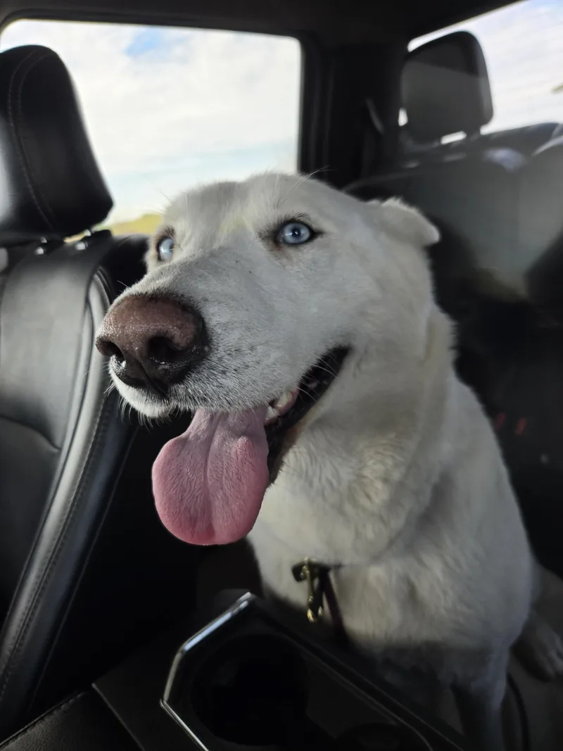 Alaska thumbnail 3