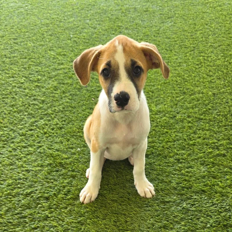 Ricky Aka Juno thumbnail 2