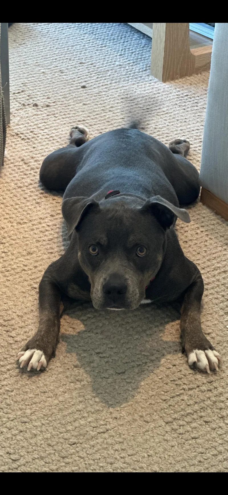 Grace Anne thumbnail 3