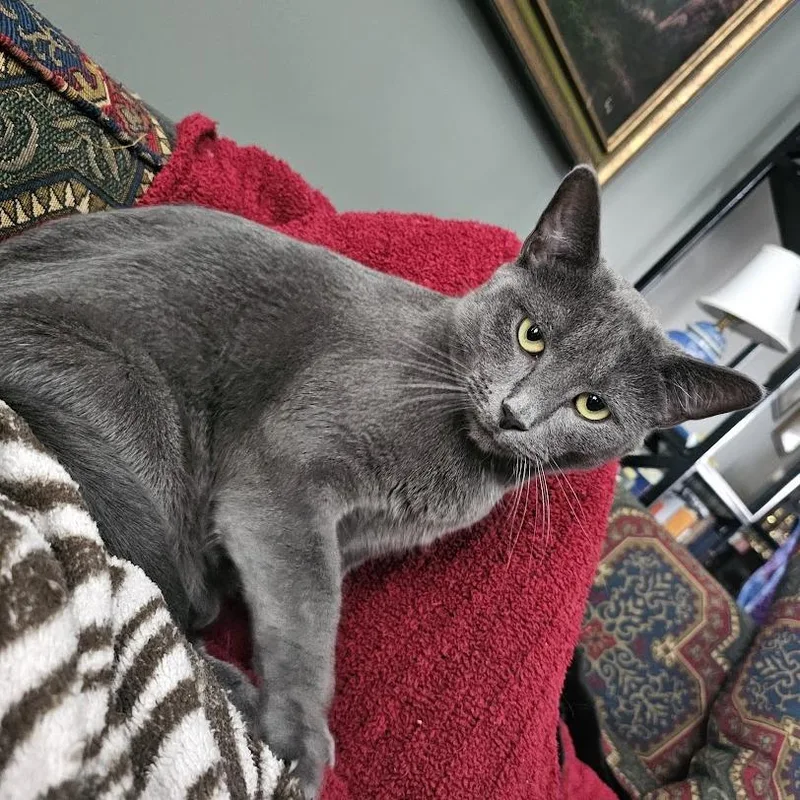 Ernie thumbnail 2