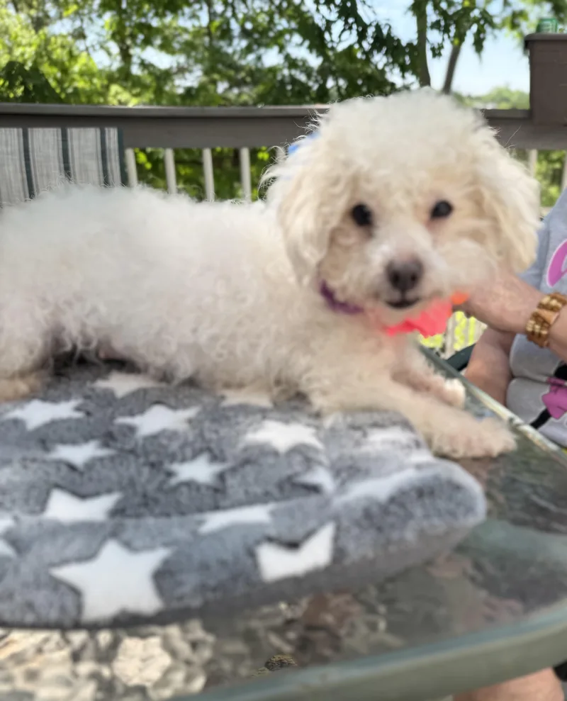 Molly thumbnail 3