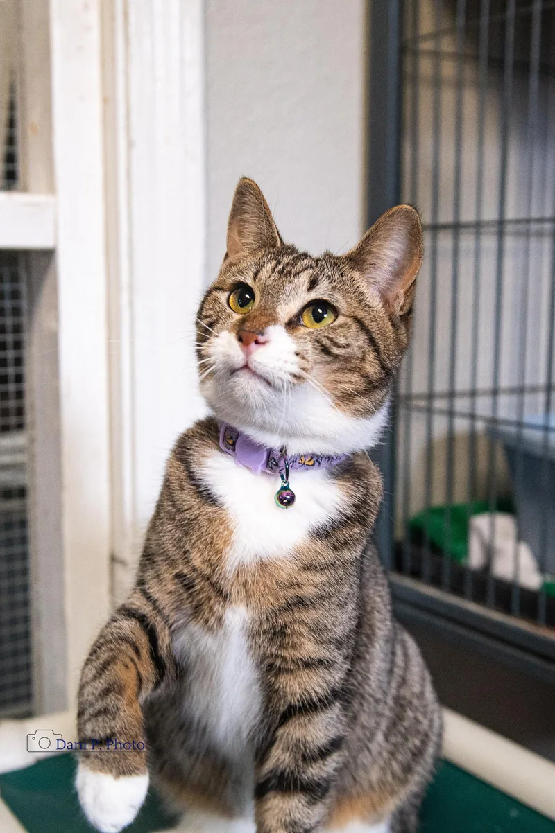 Minka  Cchs thumbnail 2