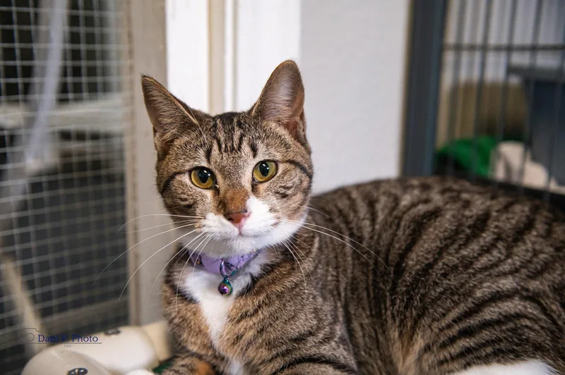 Minka  Cchs thumbnail 3