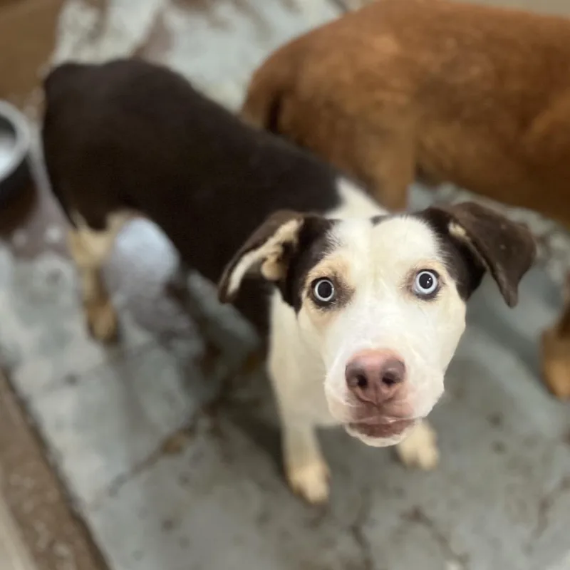 Miss Universe thumbnail 2