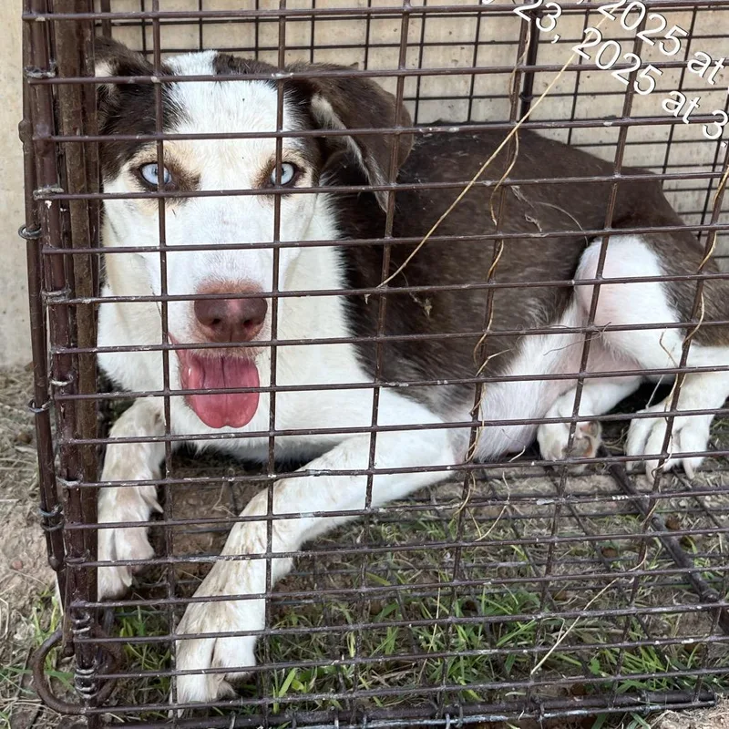 Miss Universe thumbnail 3