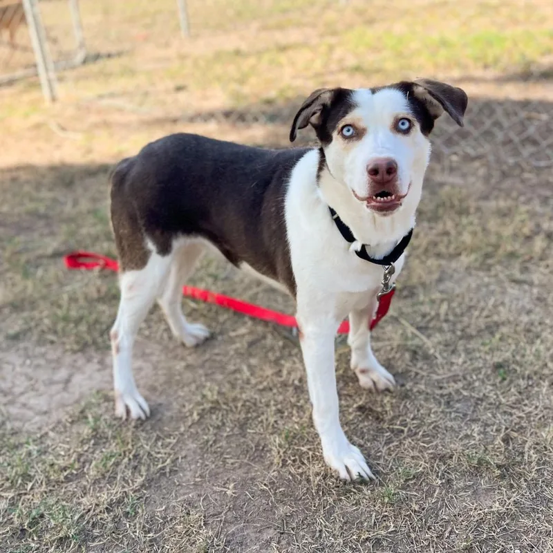 Miss Universe thumbnail 4