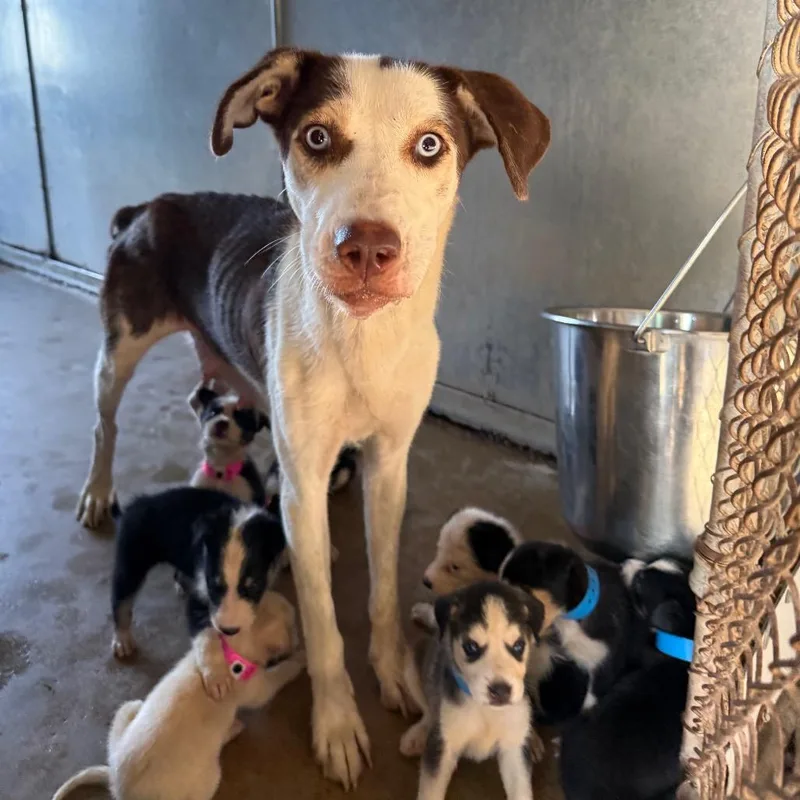 Miss Universe thumbnail 5