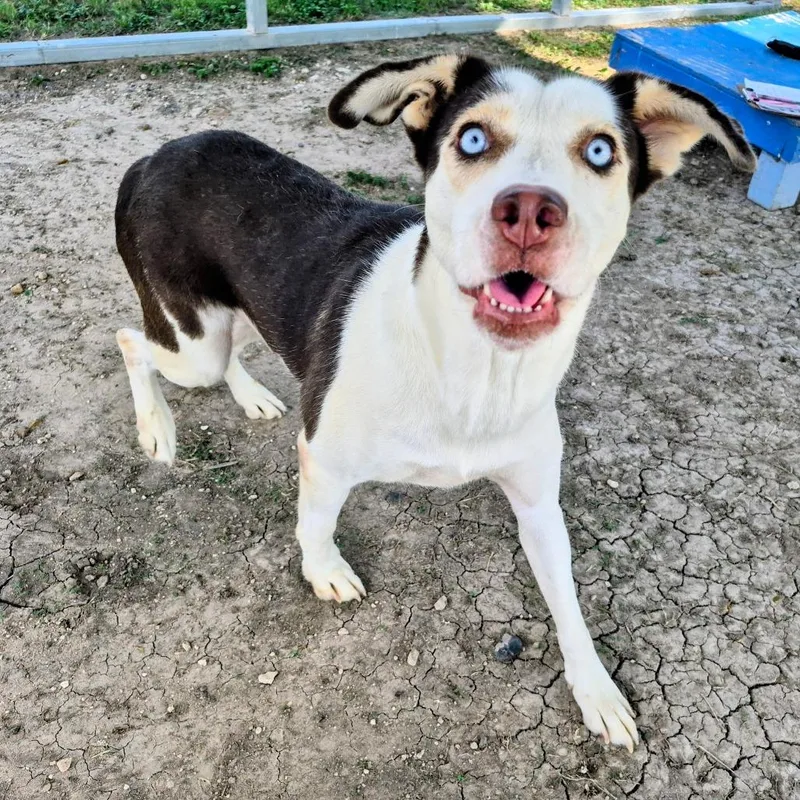 Miss Universe thumbnail 6