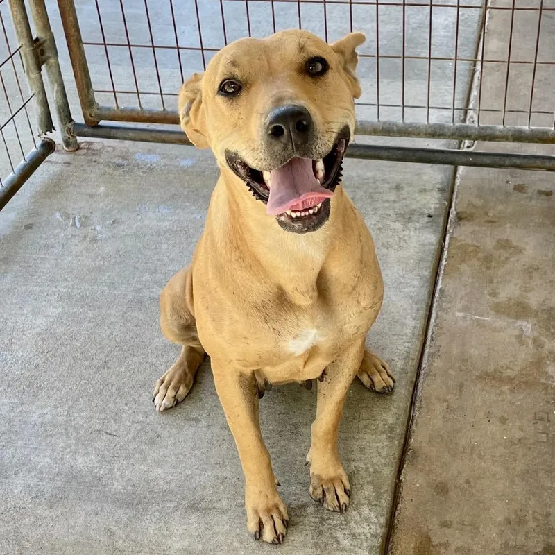 Sweetheart thumbnail 4