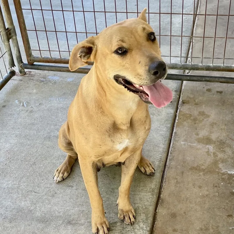 Sweetheart thumbnail 6