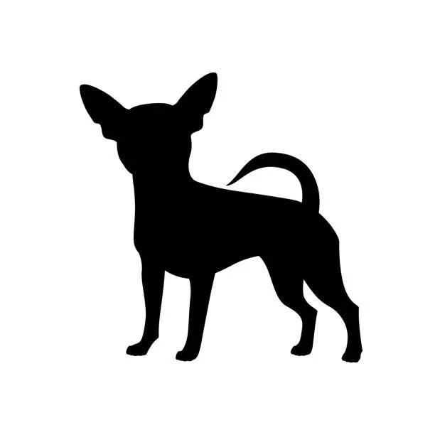 Fabrizio