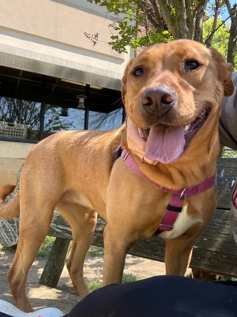 Goldilocks thumbnail 2