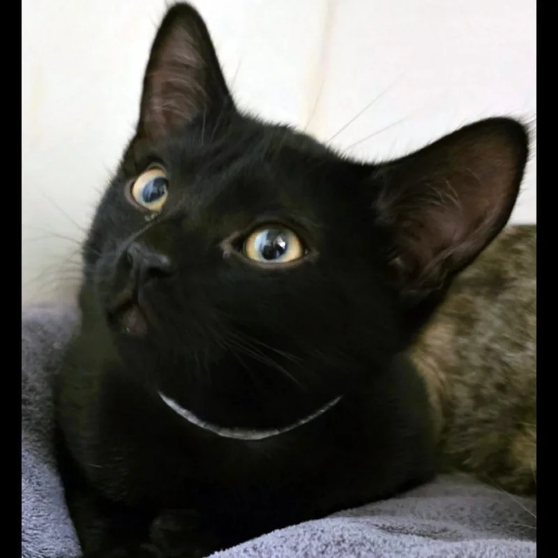 Matchacity Of Industry Location thumbnail 2