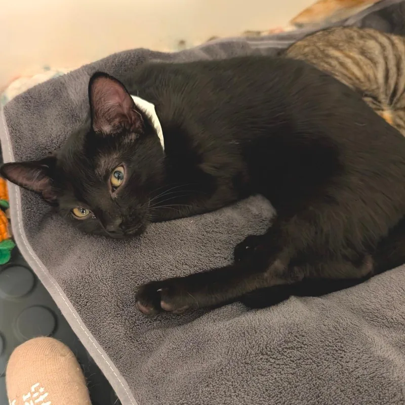 Matchacity Of Industry Location thumbnail 3