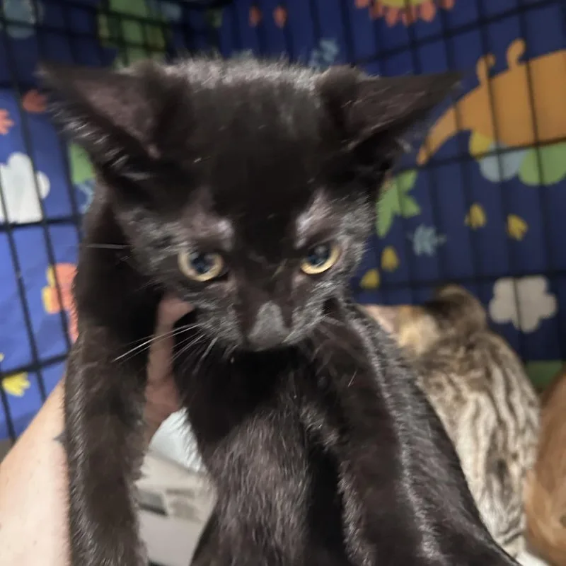 Matchacity Of Industry Location thumbnail 5